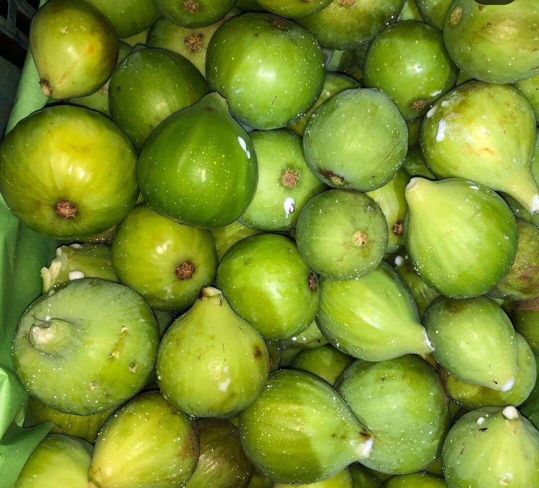 Figs - lb