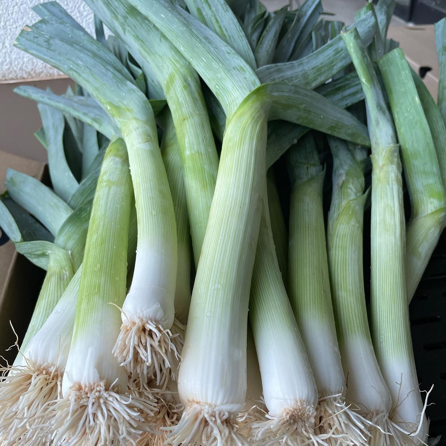 Leeks - lb