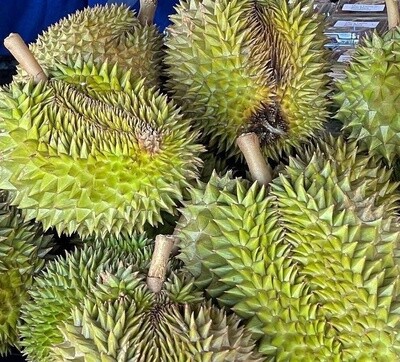 Fresh Durian - lb