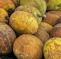 Breadfruit (ulu) - lb