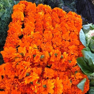 Marigold Radial Lei