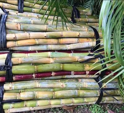 Raw Sugar Cane - lb