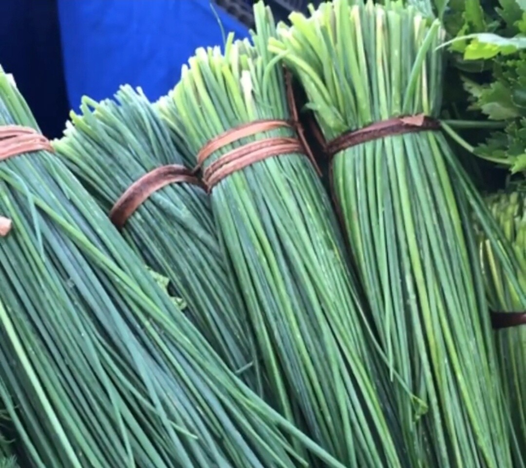 Chive - bu