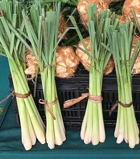 Lemongrass - bu