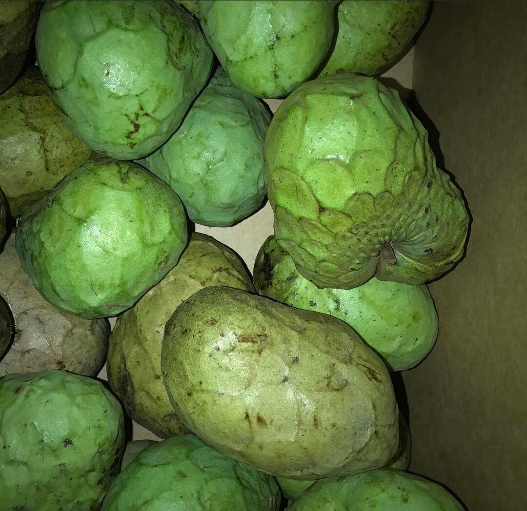 Cherimoya - lb