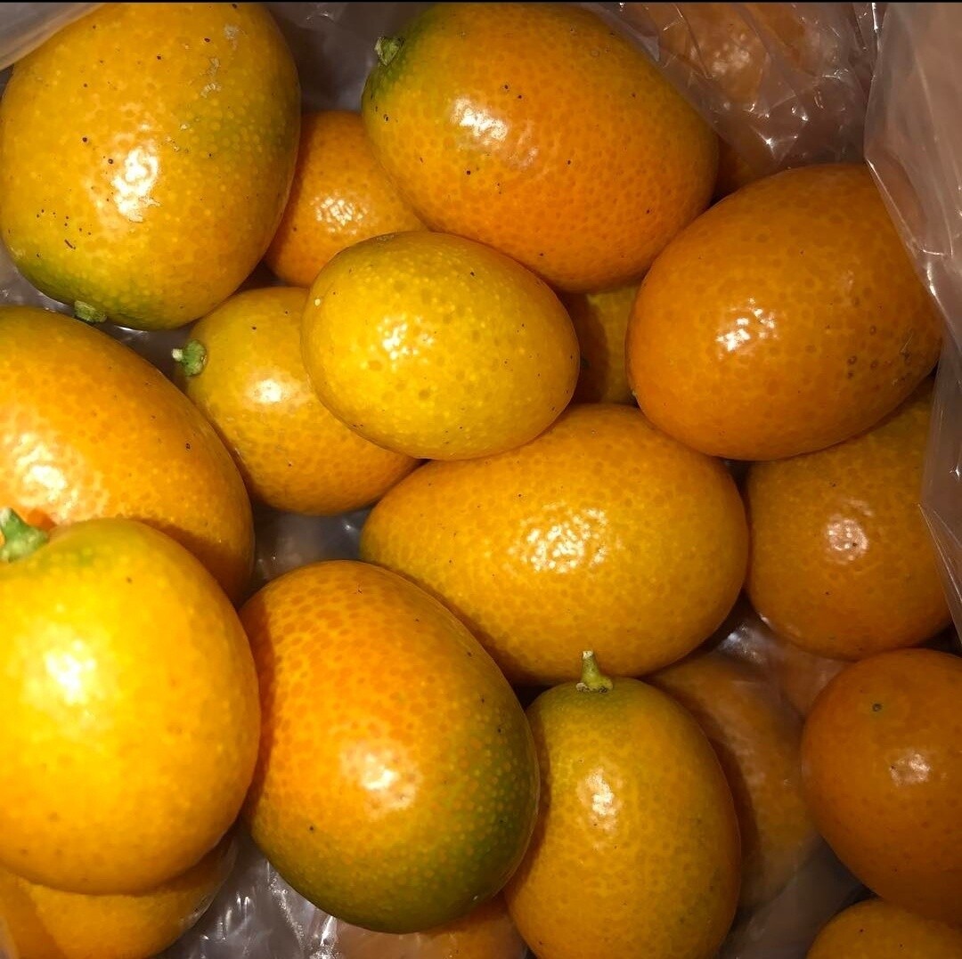 Kumquats - lb