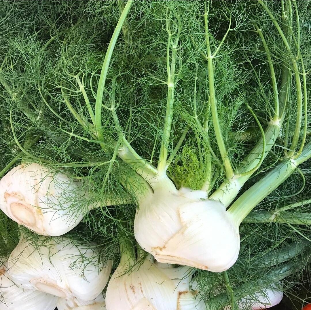 Fennel - lb