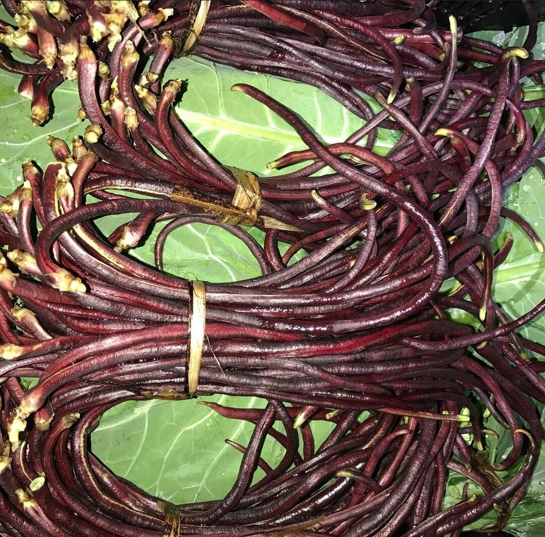 Red Beans - lb