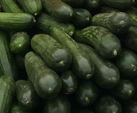 Cucumbers - lb