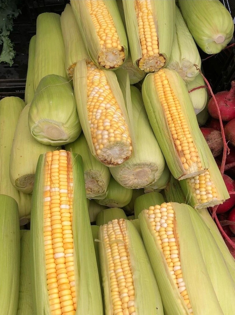Corn - lb
