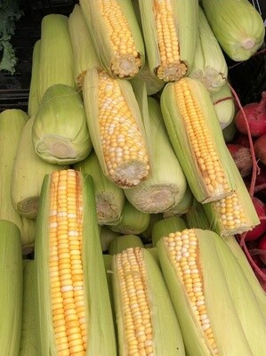 Corn - lb