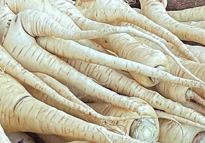 Parsnips - lb