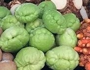 Chayote Squash - lb