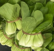 Baby Bok Choy - bu