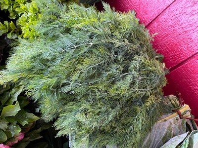 Dill - bu
