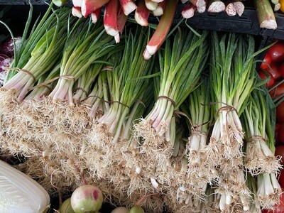 Large Green Onions - lb.