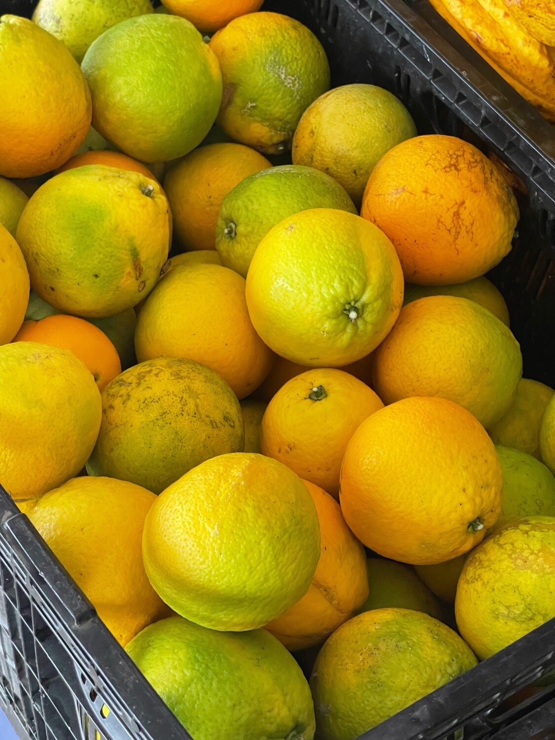 Navel Oranges - lb