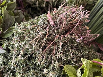 Thyme - bu