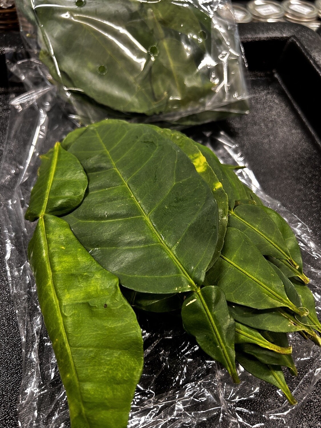 Kaffir Lime Leaf (bag)