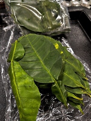 Kaffir Lime Leaf (bag)