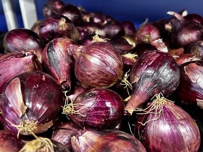 Red Onions - lb