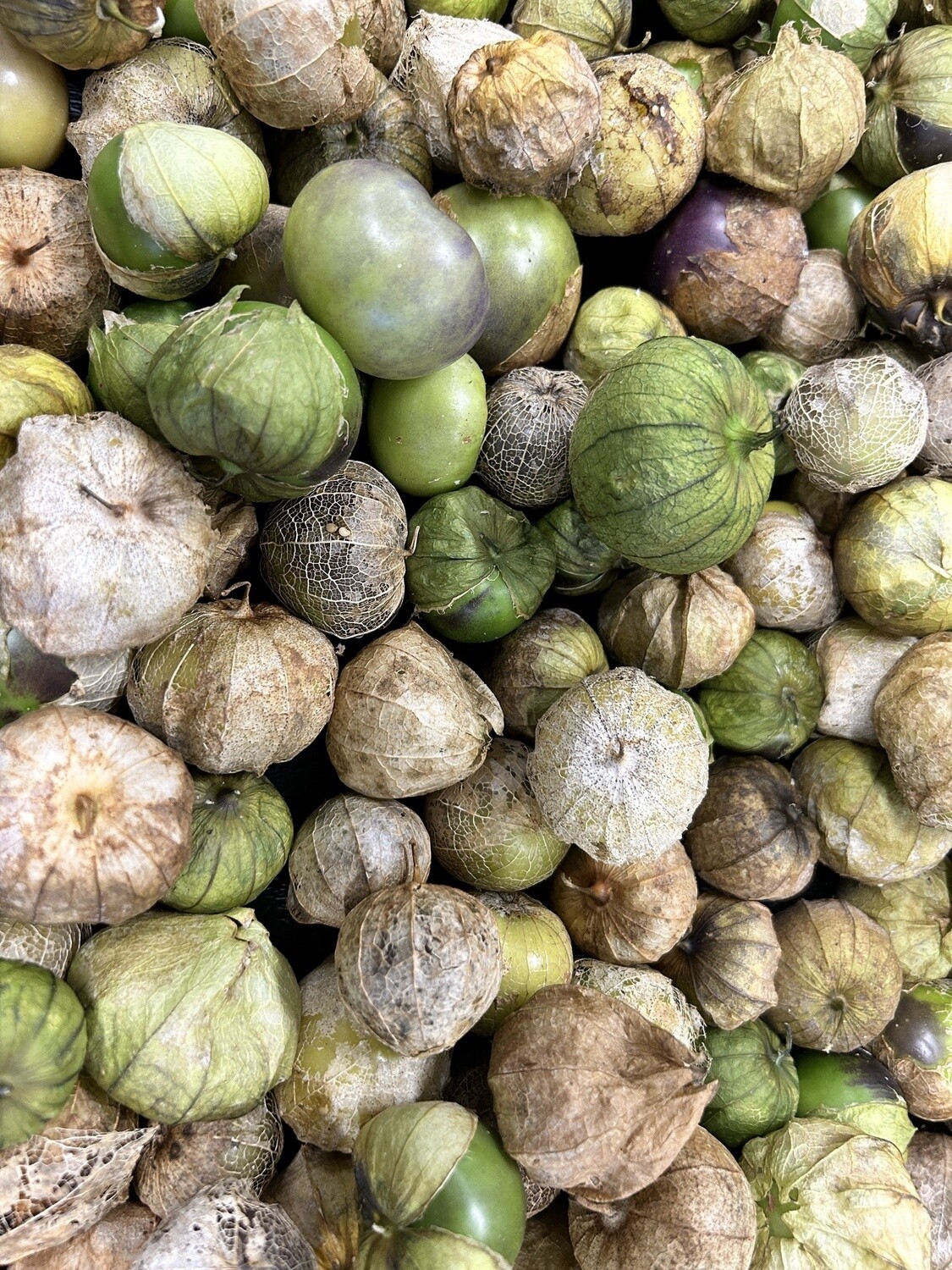 Tomatillos - lb