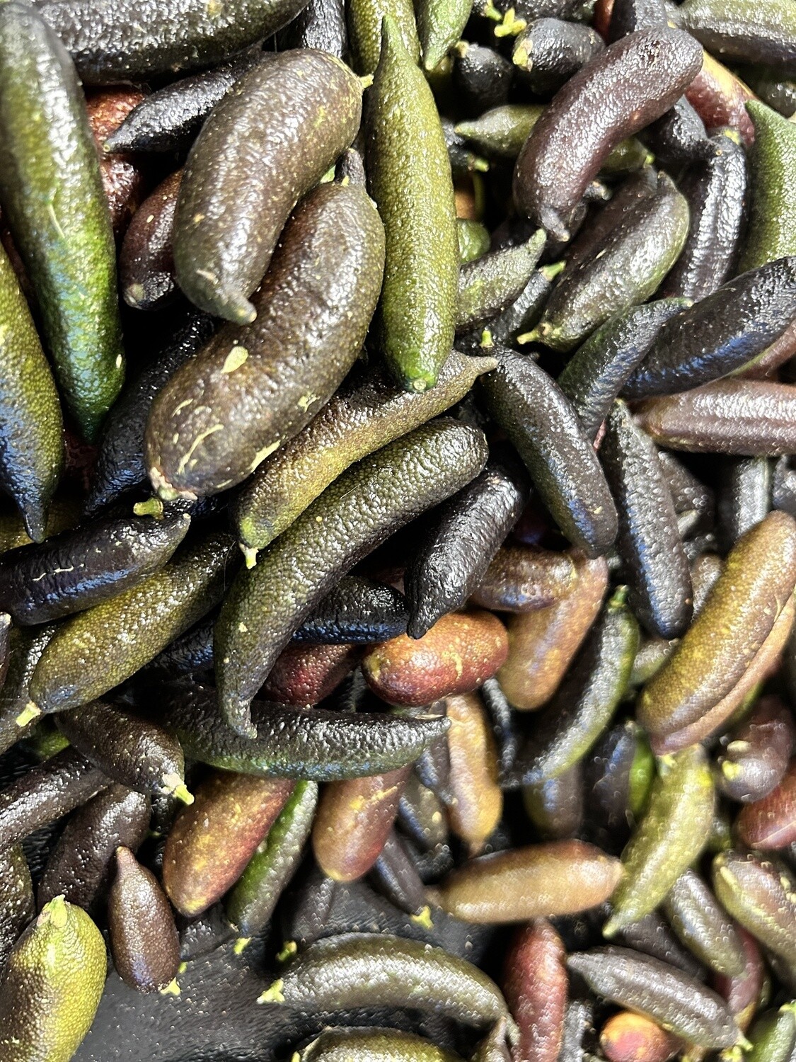Finger Limes - lb