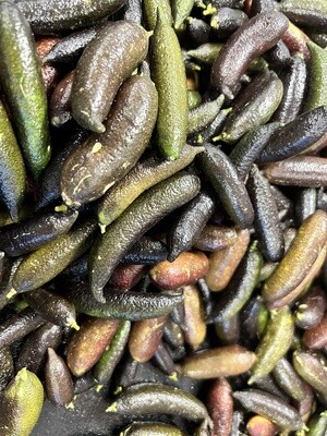 Finger Limes - LB