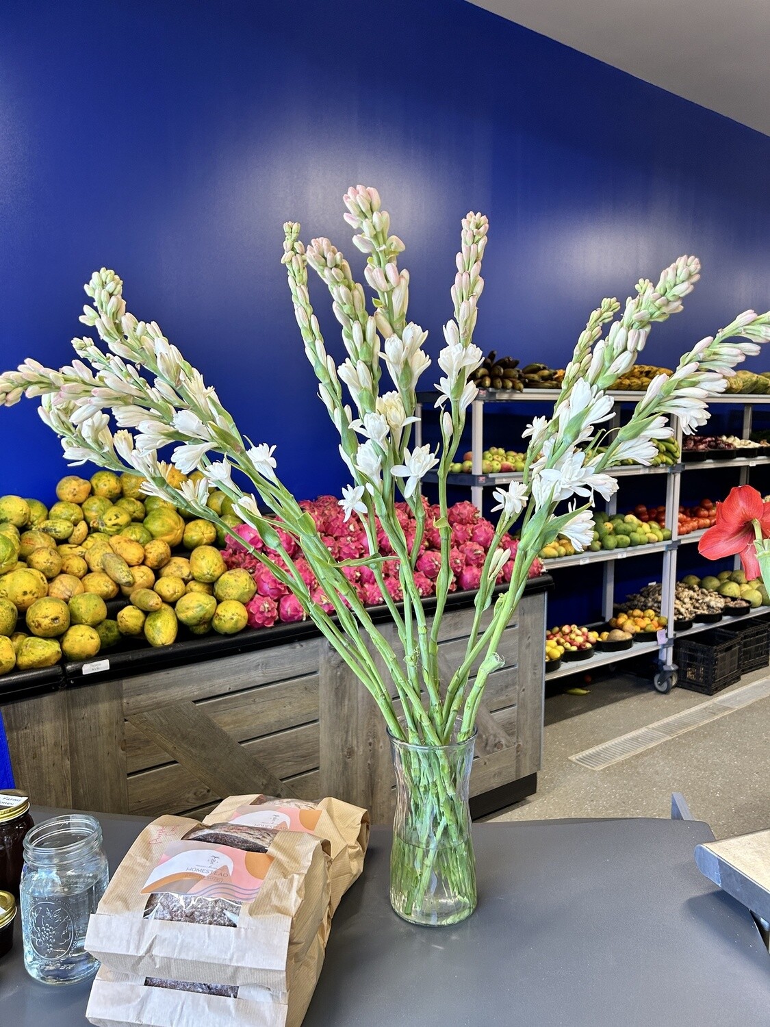 Tuberose - Stem