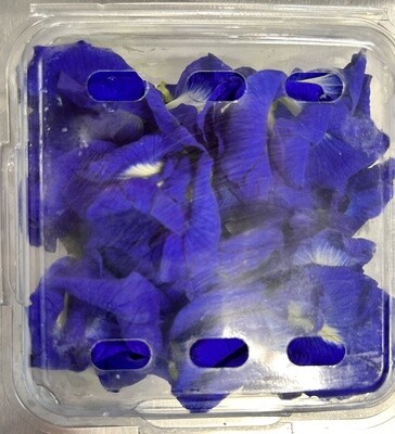 Edible Flower, Butterfly Pea - EA
