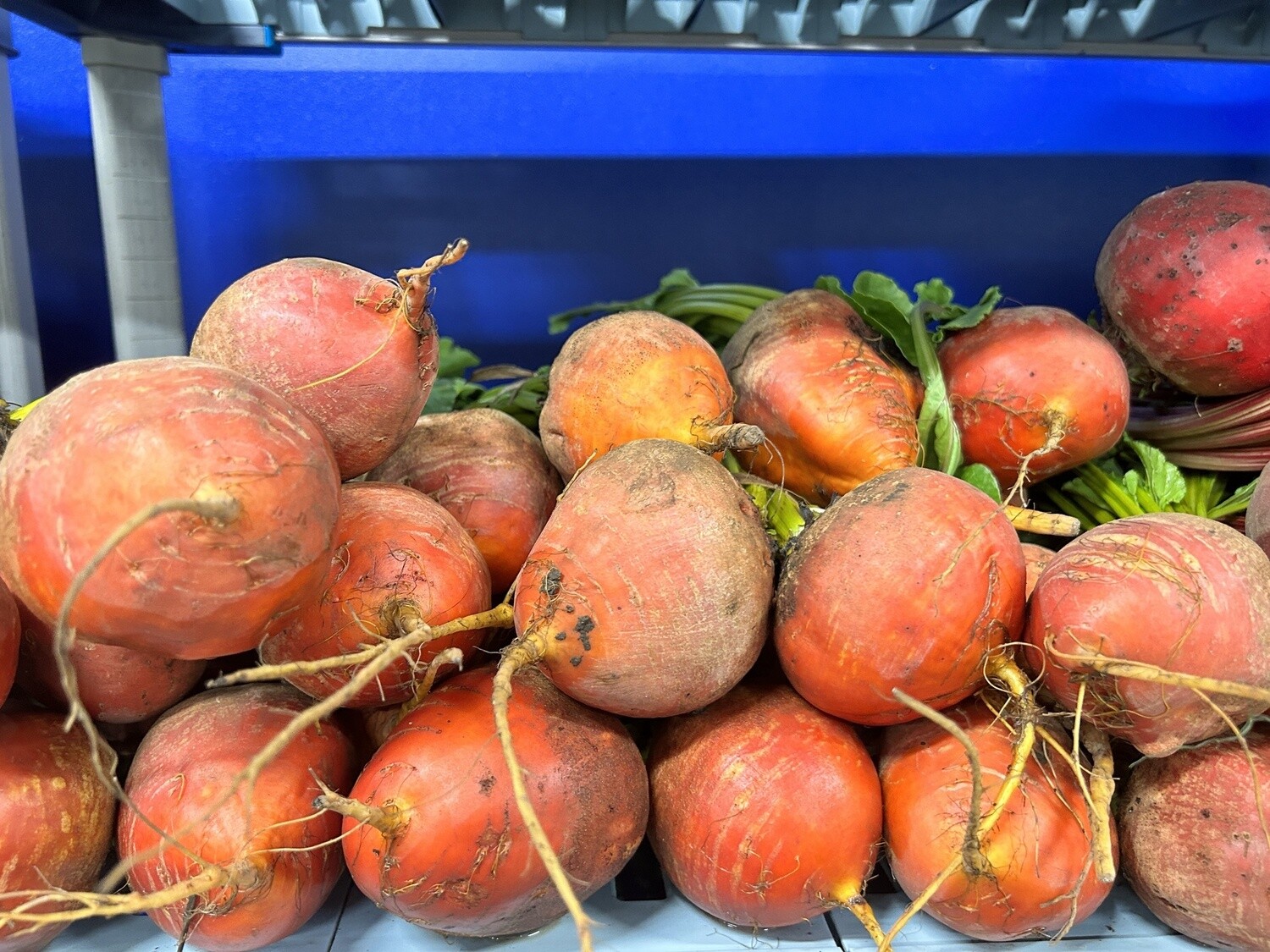 Gold Beets - lb