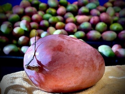 Mango - lb