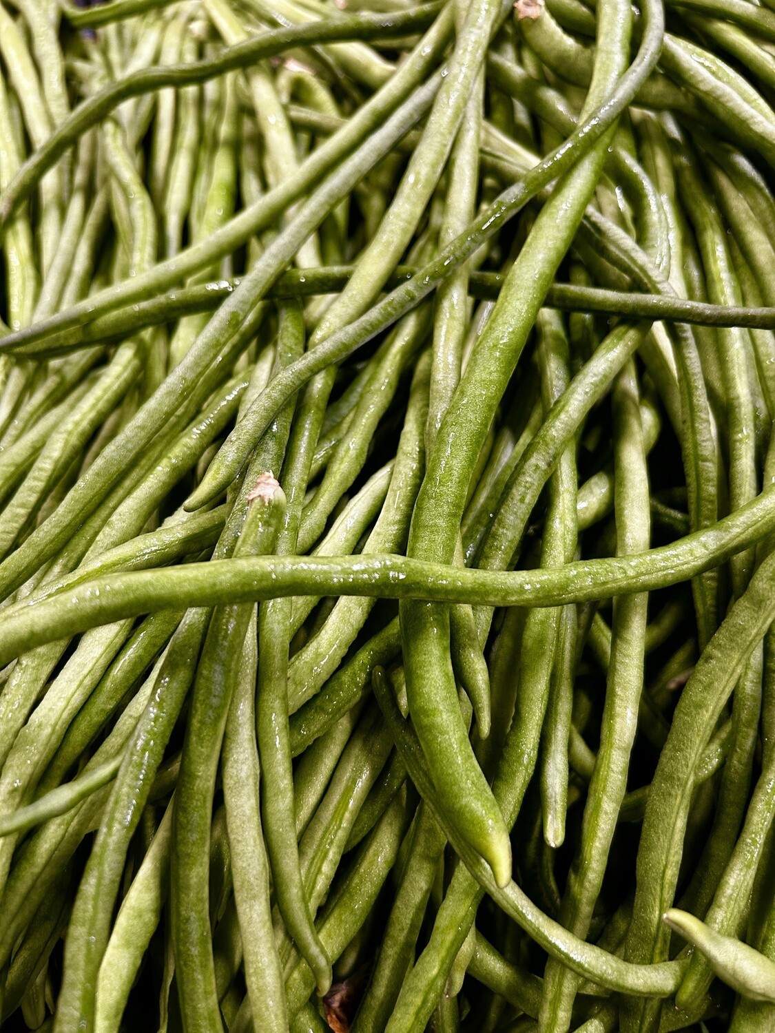 Long Beans - lb