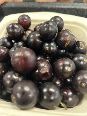 Jaboticaba - lb