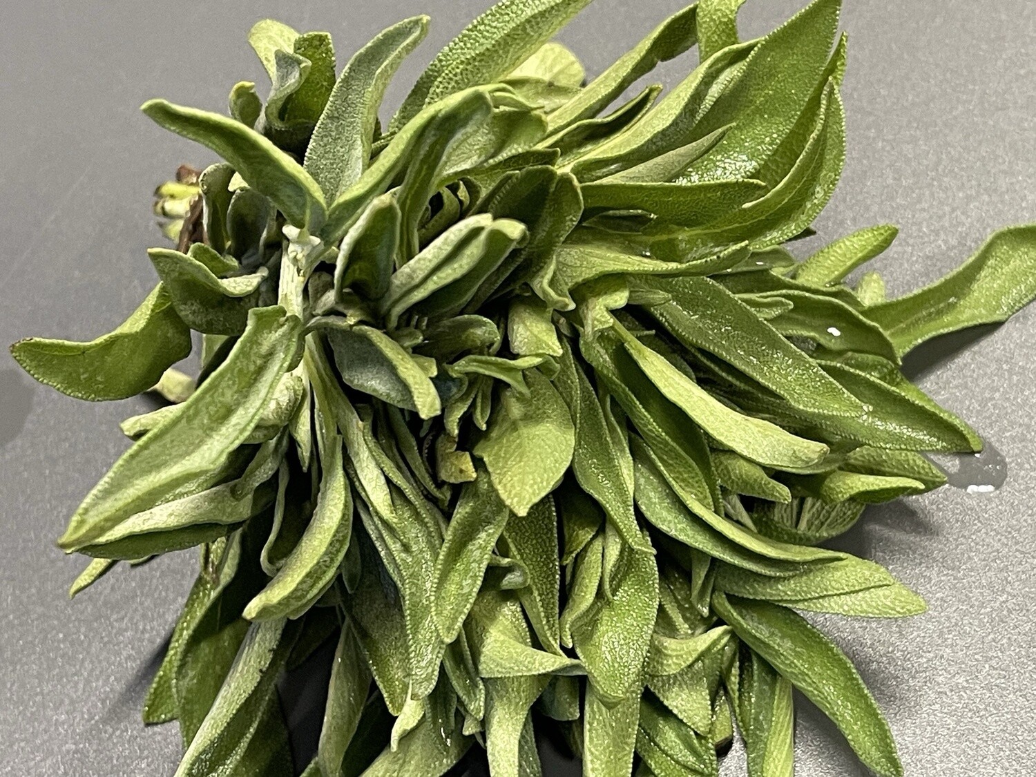 Sage - bu