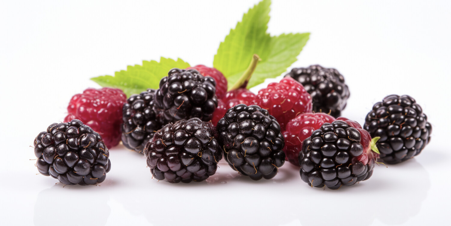 Black Raspberries - ea