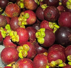Mangosteen - lb