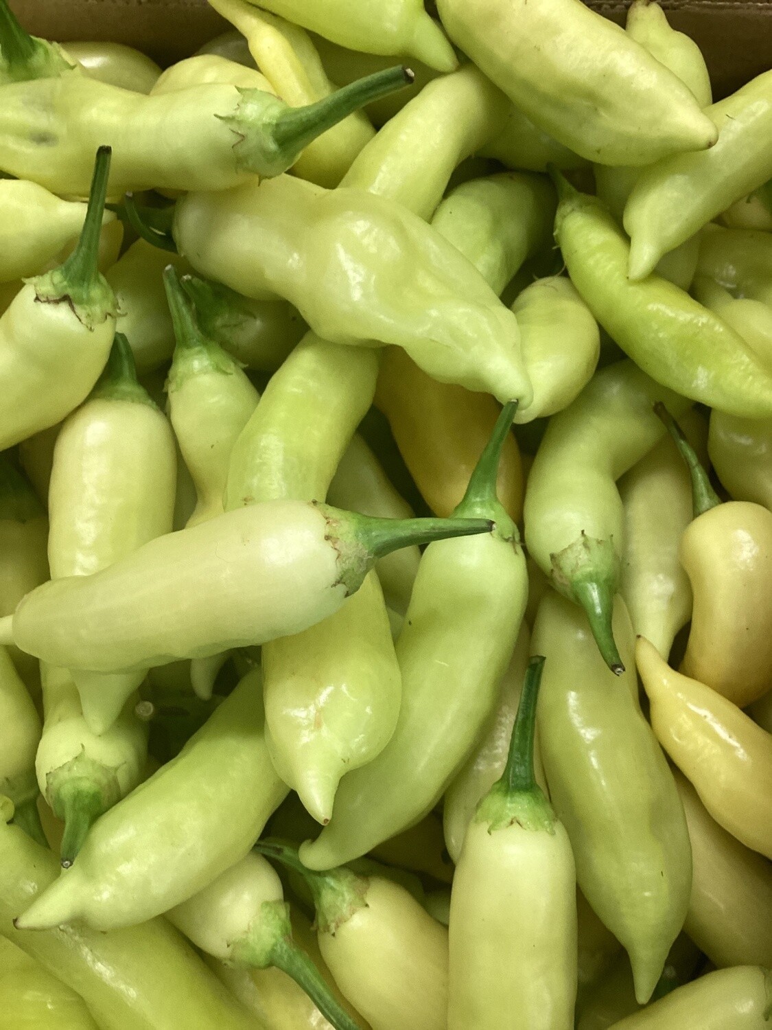 Sugar Rush Peach Peppers