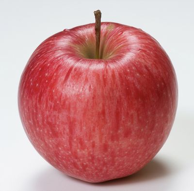 Apples - lb