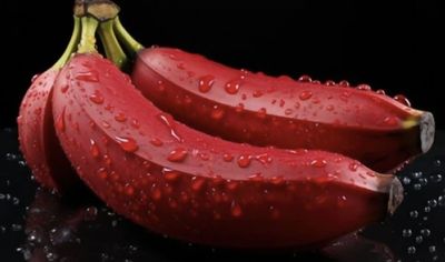 Red Cuban Banana - lb