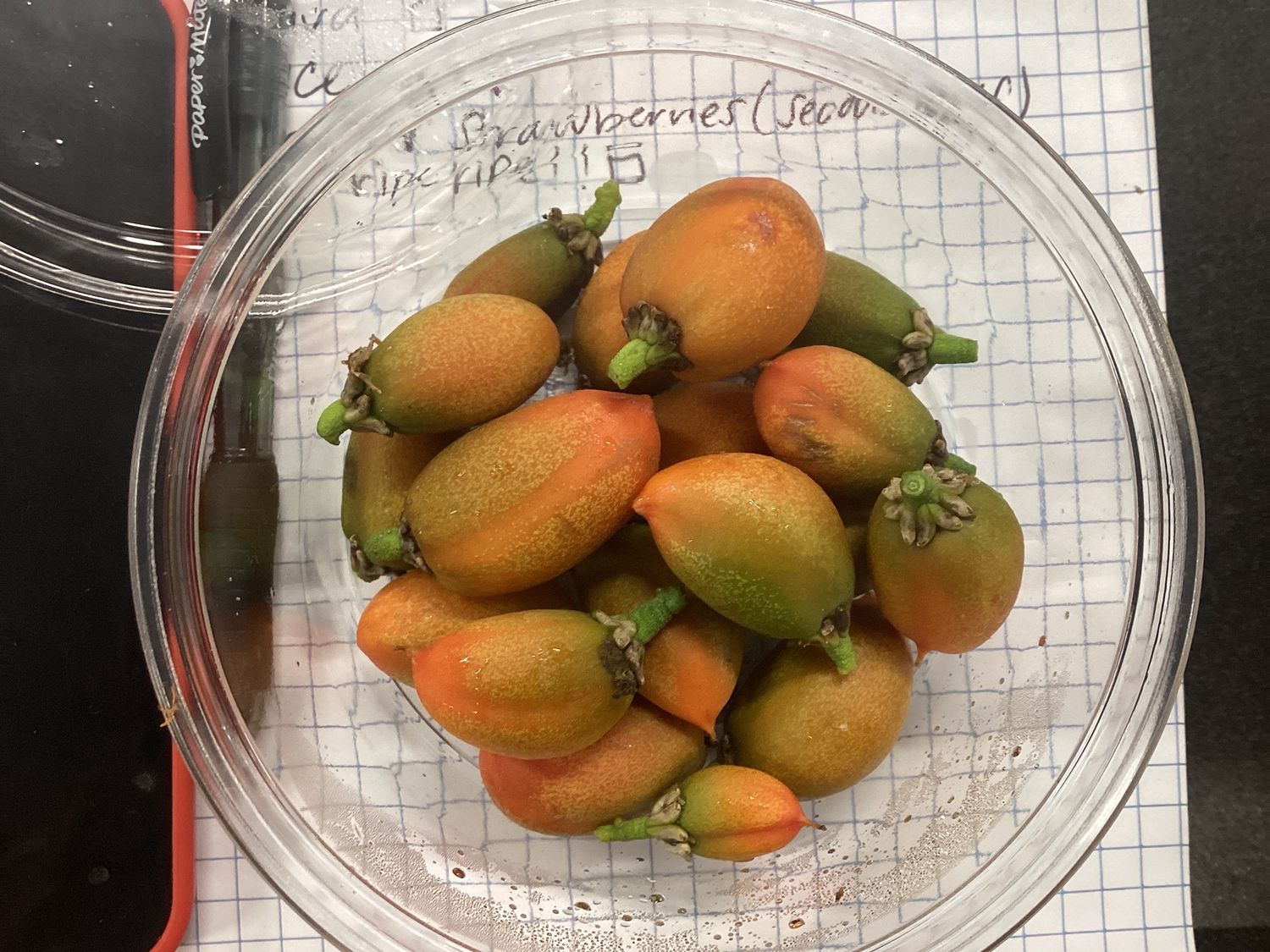 Peanut Butter Fruit - lb