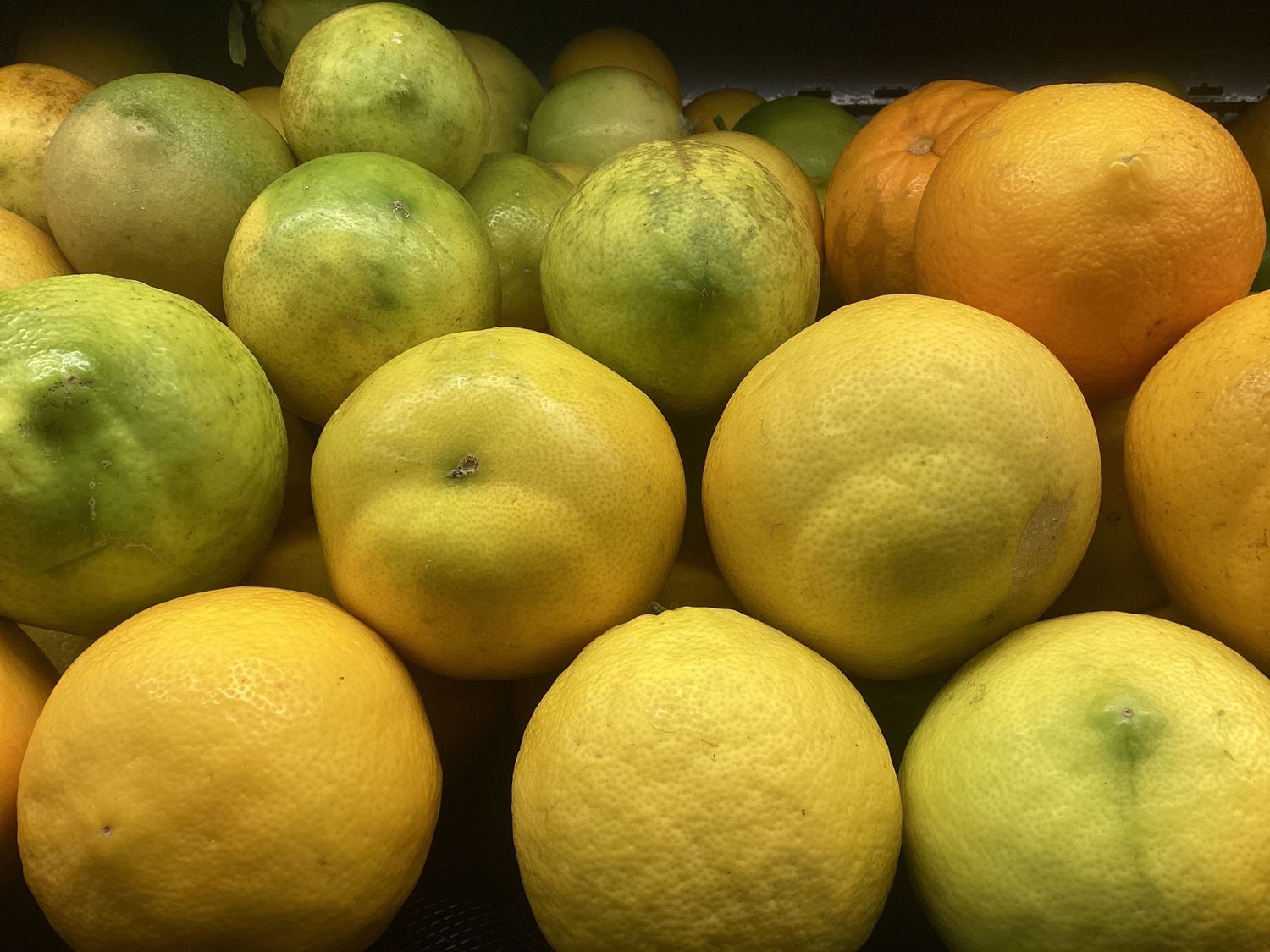 Lemons - lb