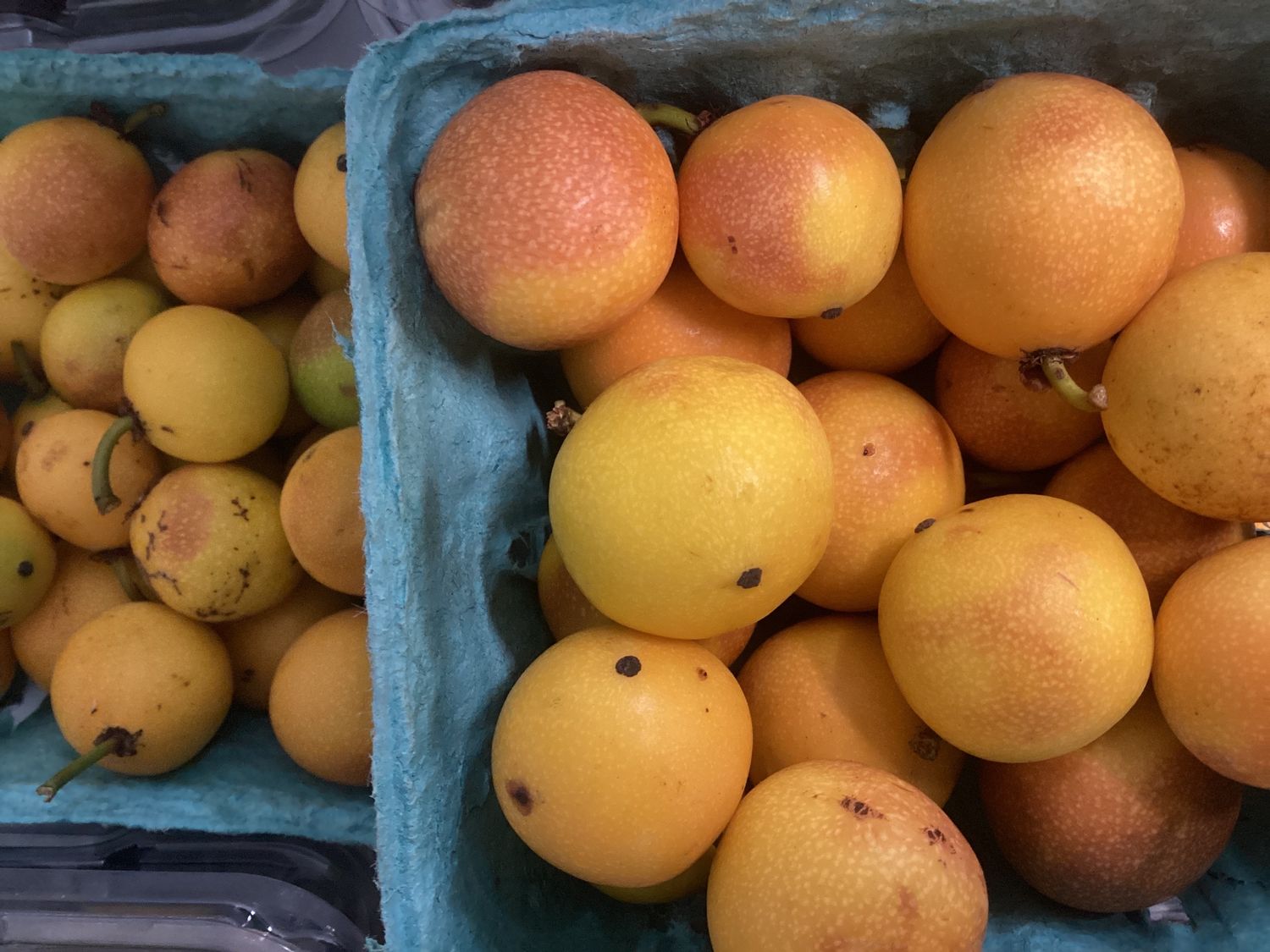 Lemon Drop Mangosteen - lb.