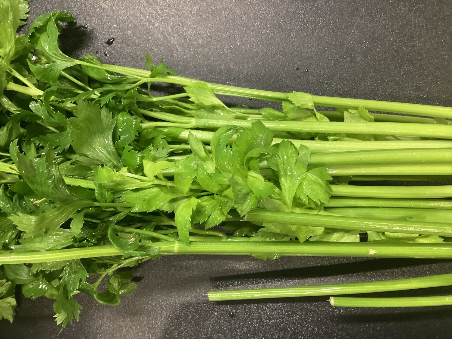 Celery - lb