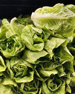 Baby Green Romaine Lettuce - lb