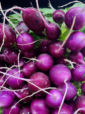 Purple Round Radish - bu