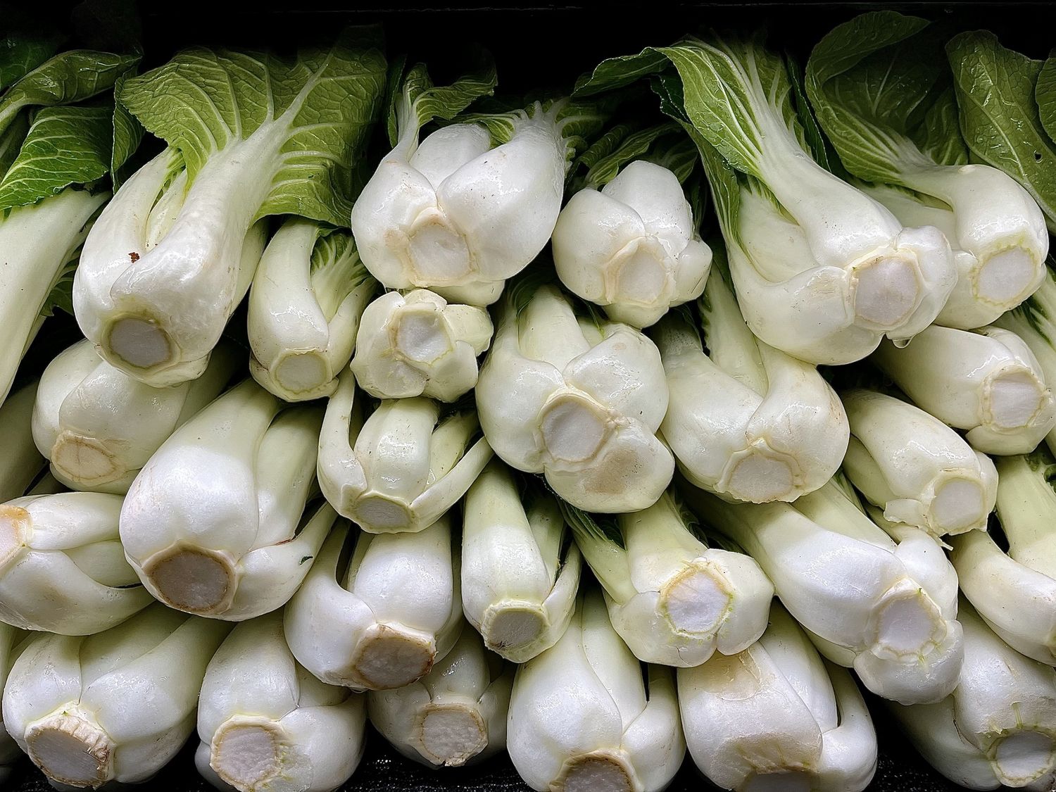 Bok Choy - bu