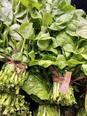Arugula - ea