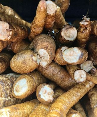 Burdock - lb