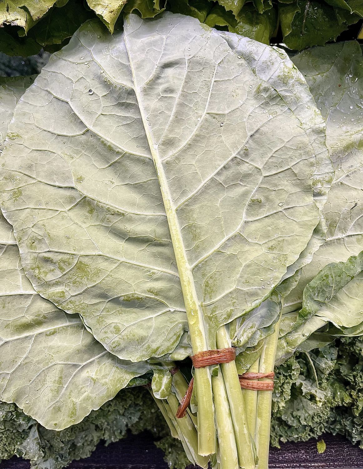 Collard Greens - ea